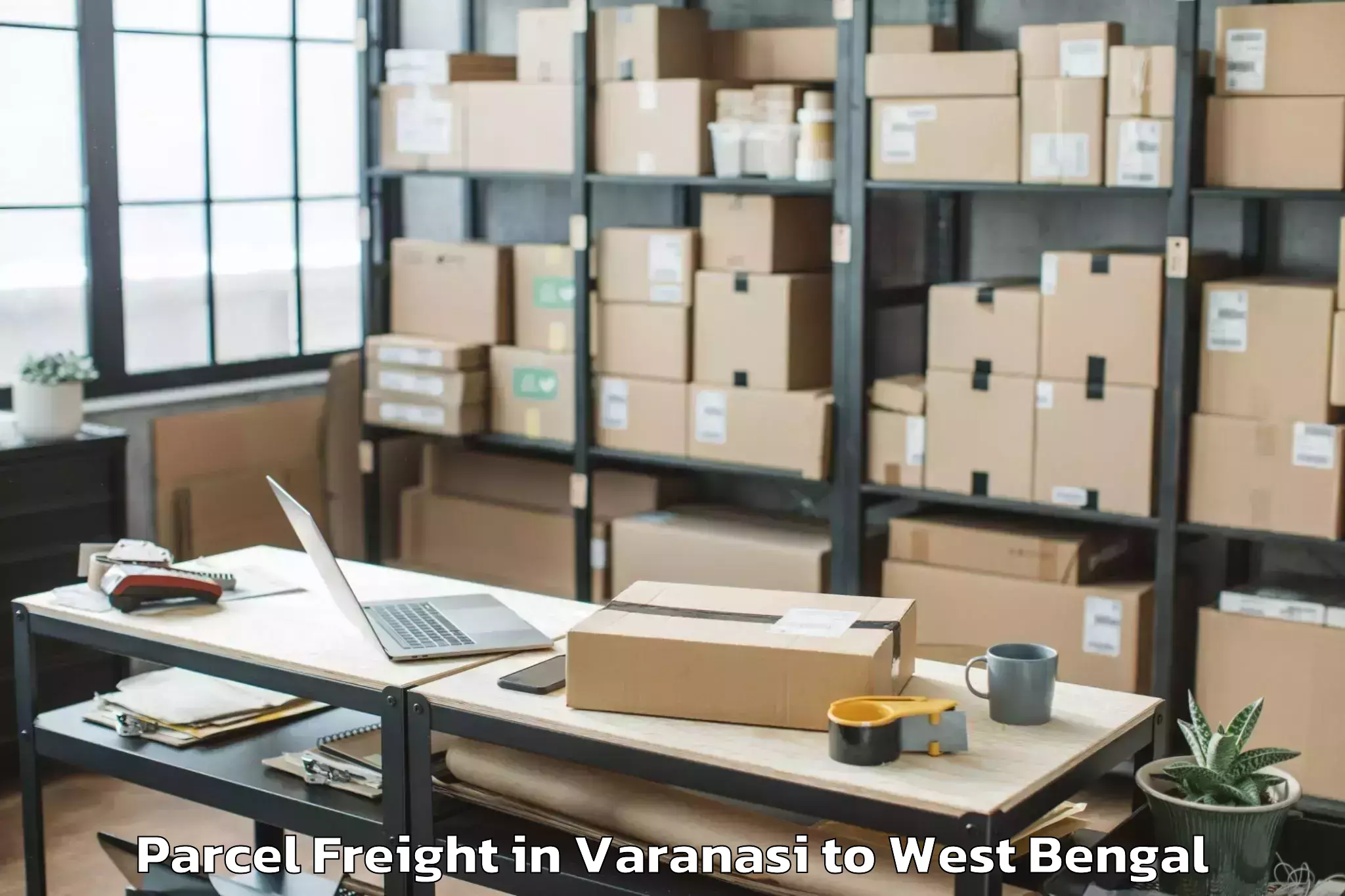 Book Varanasi to Brainware University Barasat Parcel Freight Online